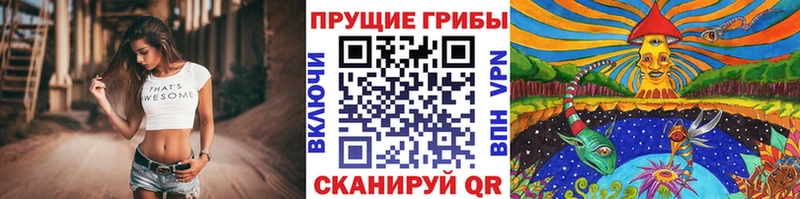 Галлюциногенные грибы Cubensis  Купить  Северодвинск 